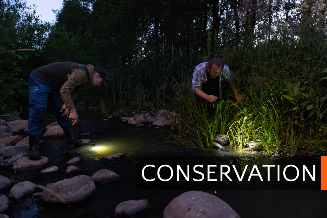 Conservationists look for trout fries in a stream of Helsinki, Finland, and link to the Conservation portfolio