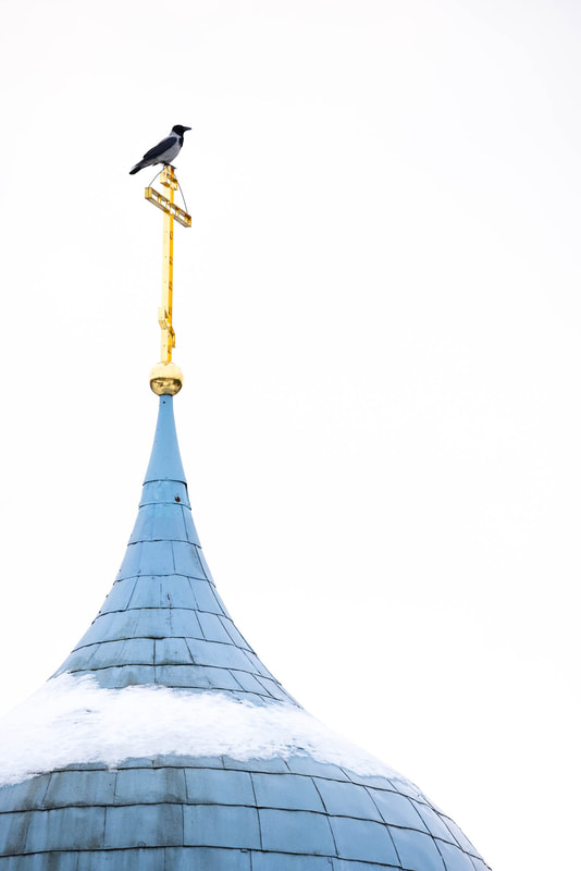 Picture of a Hooded crow perched on the top of the orthodox church near the Hietaniemi Cemetery, in Helsinki