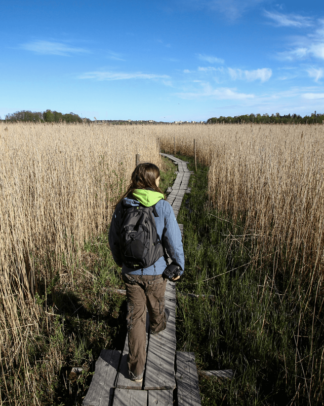 Nature reserves in Helsinki offer easy paths and boardwalks to amble on.